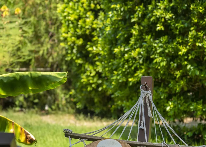 리조트 Lago Hotel